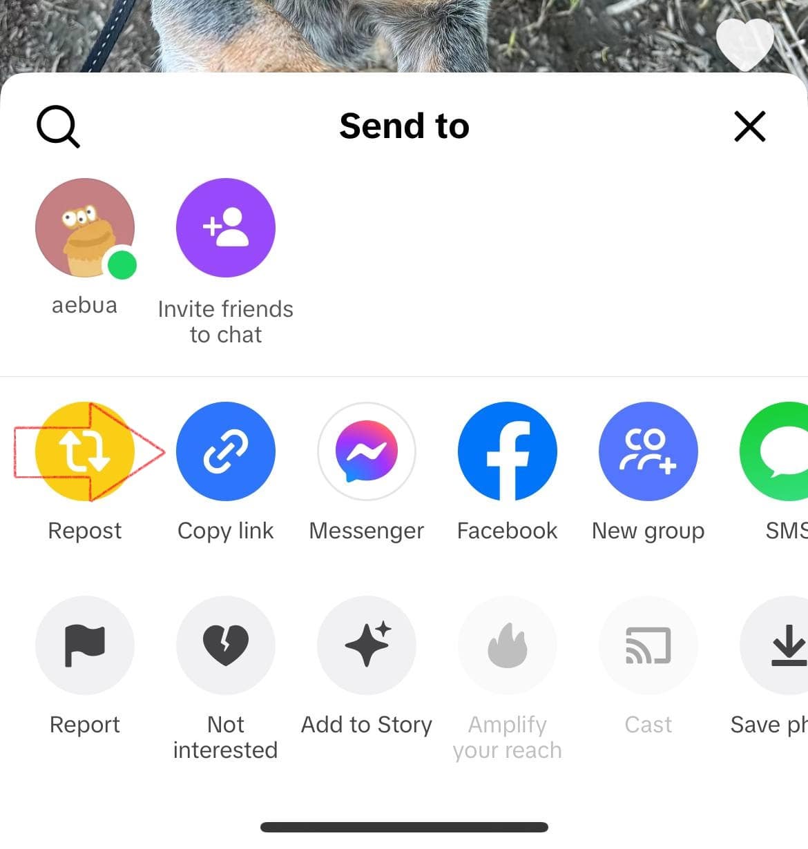Copy TikTok video link