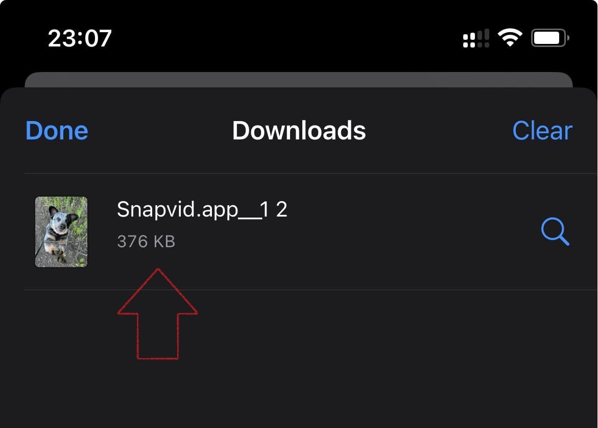 Download TikTok video