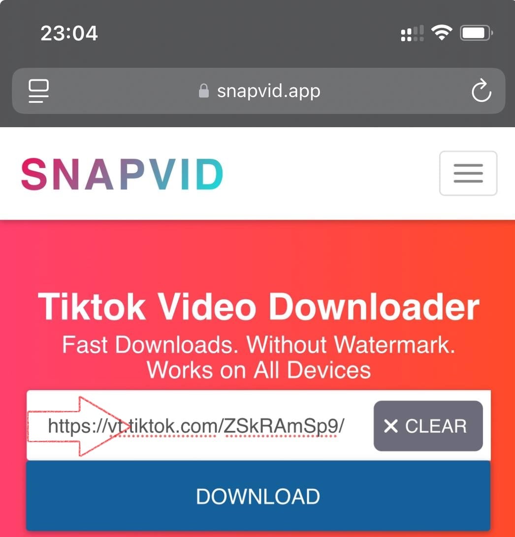 Paste link into Snapvid